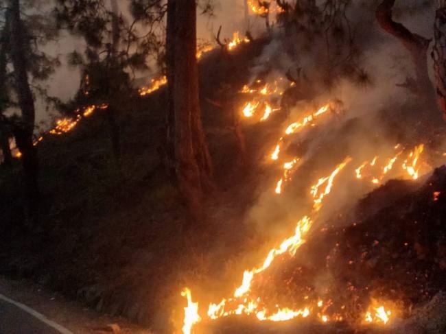 forest fire from bamradi to seemar