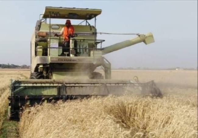 price of disel affect cutting of crops in rohtas - Bihar Rohtas General  News - रोहतास के किसानों पर महंगाई की मार, डीजल का दाम बढ़ने से गेहूं की  कटनी-दवनी पर असर