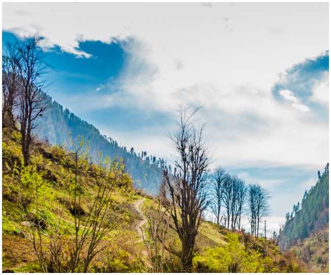 https://www.jagranimages.com/images/newimg/31032022/31_03_2022-uttrakhand_22586494.jpg