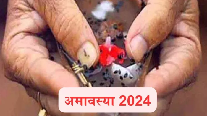 Somvati Amavasya 2024: पितृ चालीसा का पाठ