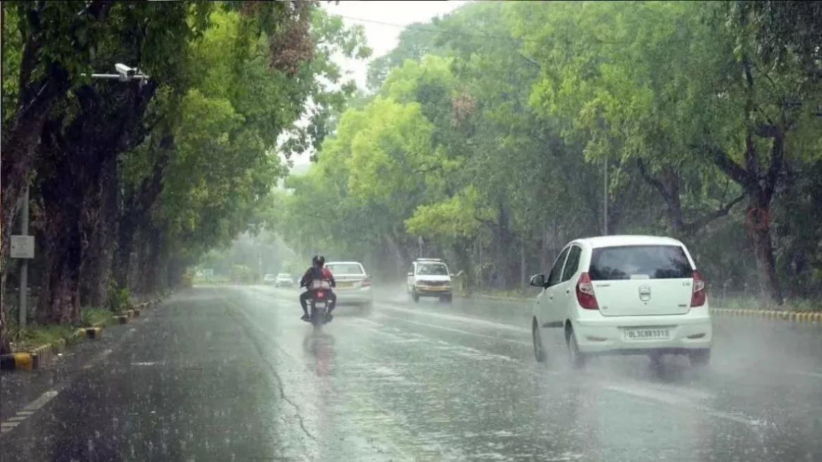 Punjab Weather News: पंजाब में आंधी से उखड़े पेड़, बारिश ने फसलों को पहुंचा नुकसान; मौसम विभाग ने जारी किया अलर्ट
