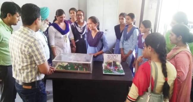 बच्चों ने बनाए सुंदर मॉडल और चार्ट