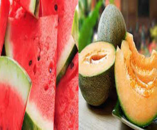yaas cyclone damaged vegetable crop in ramgarh fruits like melon rotting in the fields
