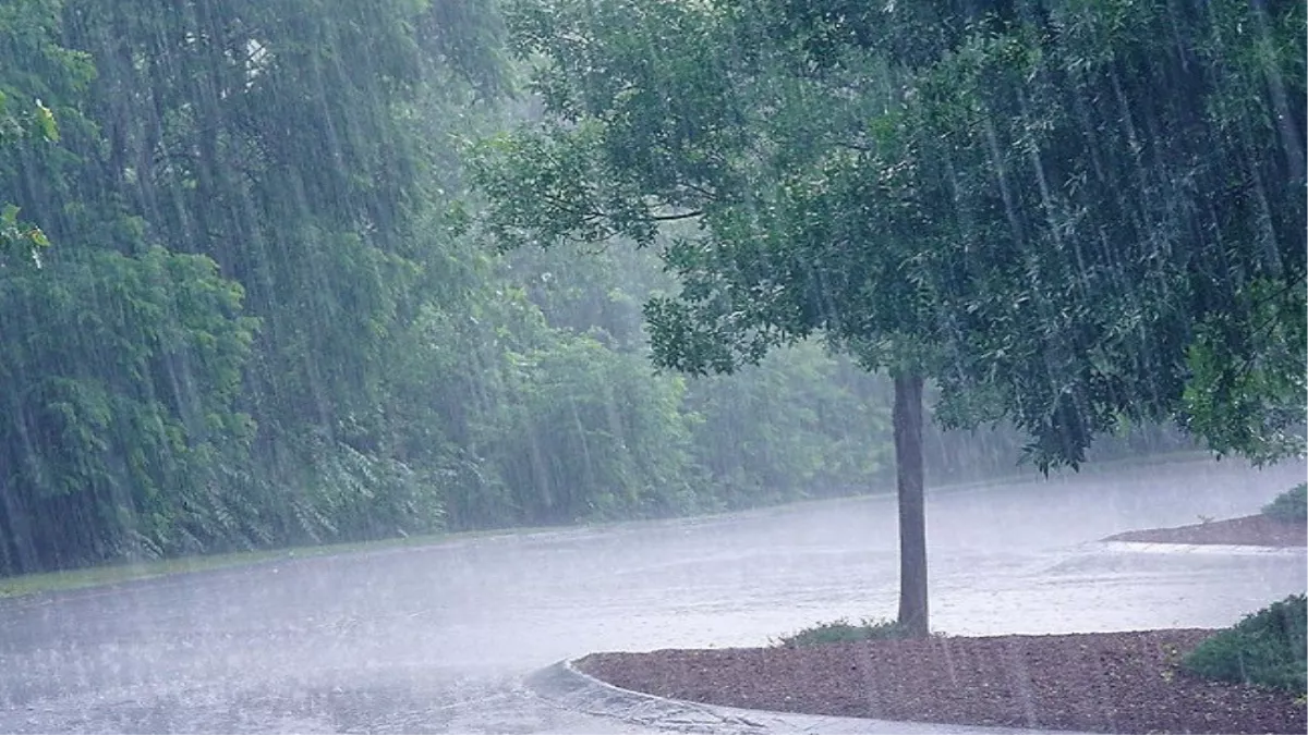 Haryana Weather Updates: हरियाणा में तीन वर्षों से मई में वर्षा फुल, गर्मी ने भी तोड़े रिकार्ड