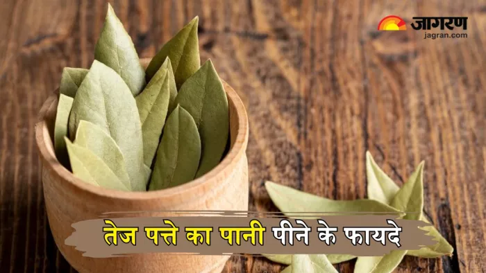 Tej patta का पानी पीने से मिलेंगे फायदे (Picture Courtesy: Freepik)