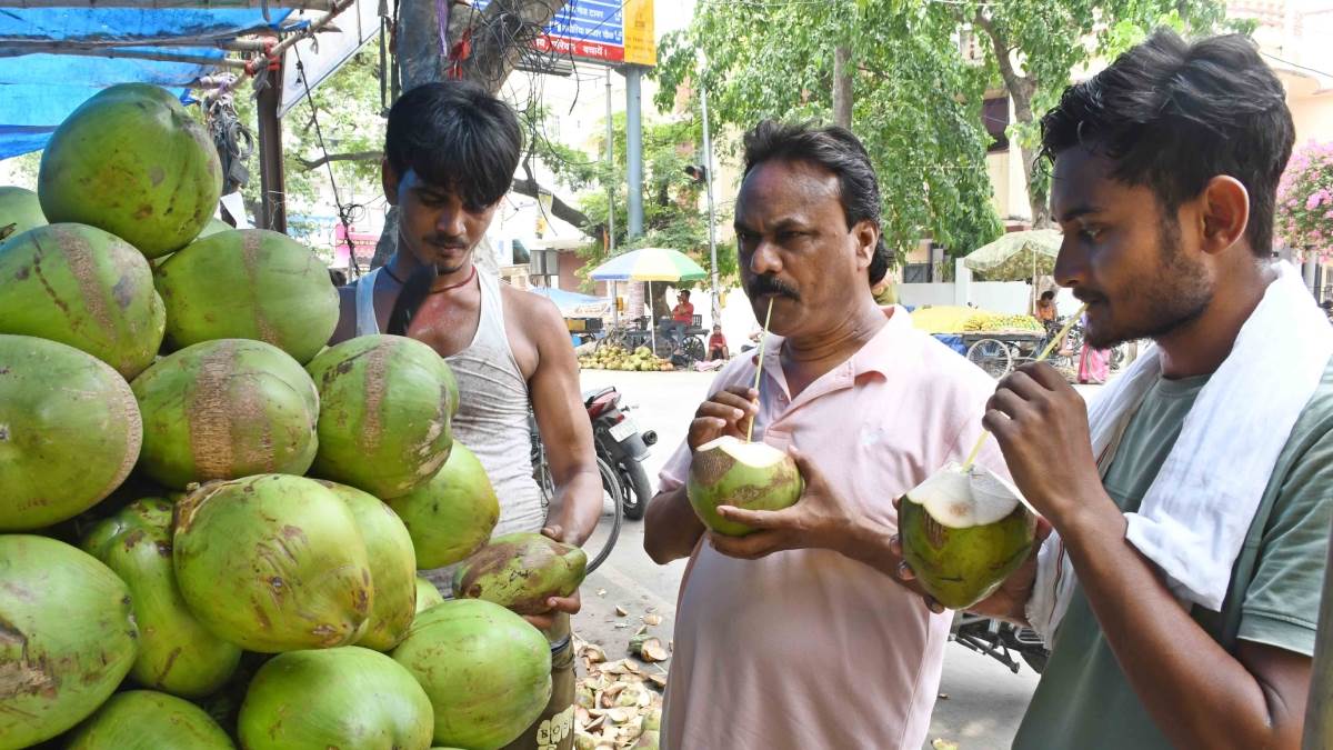 https://www.jagranimages.com/images/newimg/31052024/31_05_2024-coconut_nariyal_23729135_154211420.jpg
