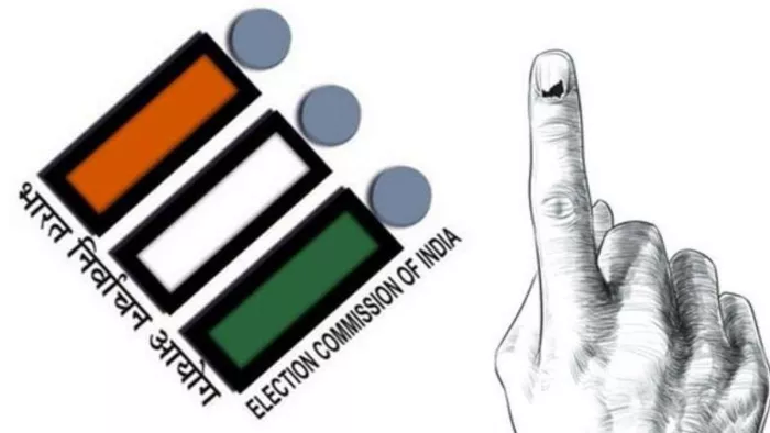 Lok sabha Election 2024: डॉल्फिन और पक्षियों का सहारे चुनाव आयोग मतदाताओं दे रहा संदेश, वोटिंग 1 जून को