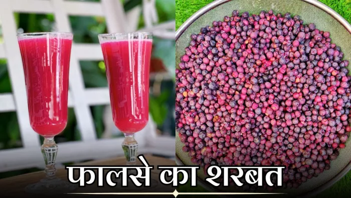 गर्मियों में पिएं फालसे का शरबत, दिनभर शरीर में बनी रहेगी एनर्जी (Image Source: Freepik)