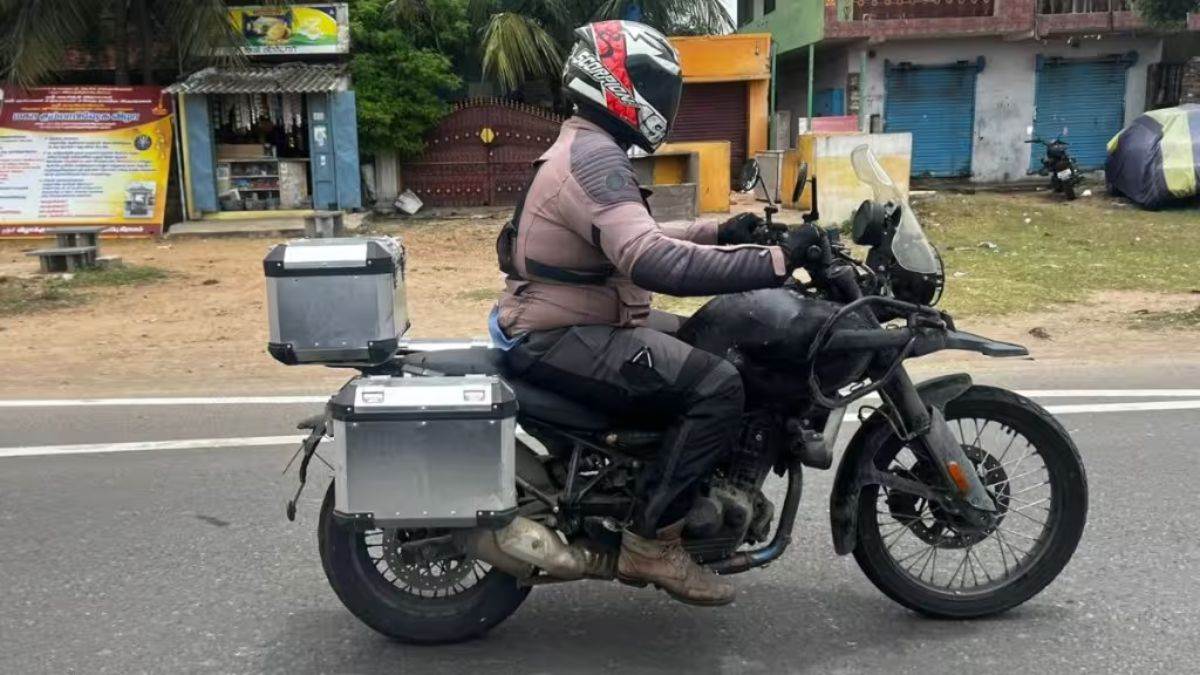 https://www.jagranimages.com/images/newimg/31052024/31_05_2024-guerrilla_450_23728982.jpg
