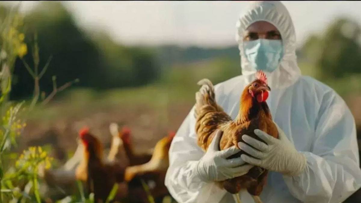 https://www.jagranimages.com/images/newimg/31052025/31_05_2025-bird-flu_23952328.jpg