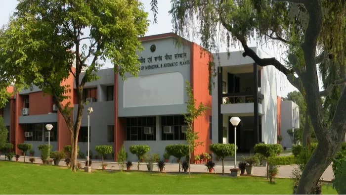 जड़ी बूटी से ब्लड कैंसर का इलाज अब सिर्फ 28 दिन में