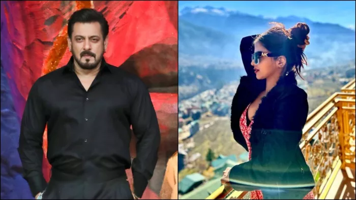 टीवी एक्ट्रेस को मिला बिग बॉस 19 का ऑफर। फोटो क्रेडिट- इंस्टाग्राम