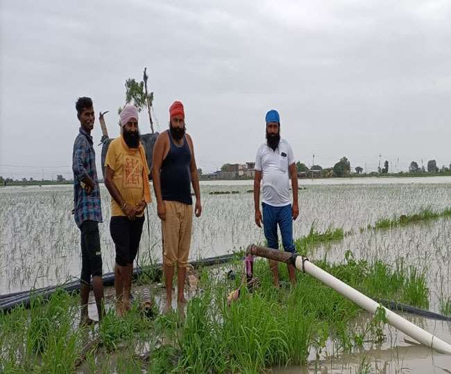 मध्य प्रदेश के श्योपुर जिले के किसान