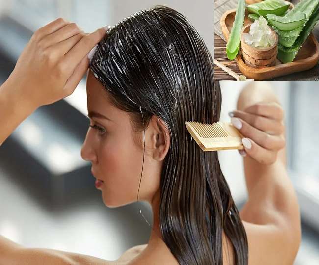 Aloe Vera and Curd Mask: हेयर फॉल से लेकर बालों को शाइनी तक बनाता है दही और एलोवेरा का मास्क, जानिए कैसे - how to use aloe vera and curd mask for Aloe Vera and Curd Mask: हेयर फॉल से लेकर बालों को शाइनी तक बनाता है दही और एलोवेरा का मास्क, जानिए कैसे - how to use aloe vera and curd mask for