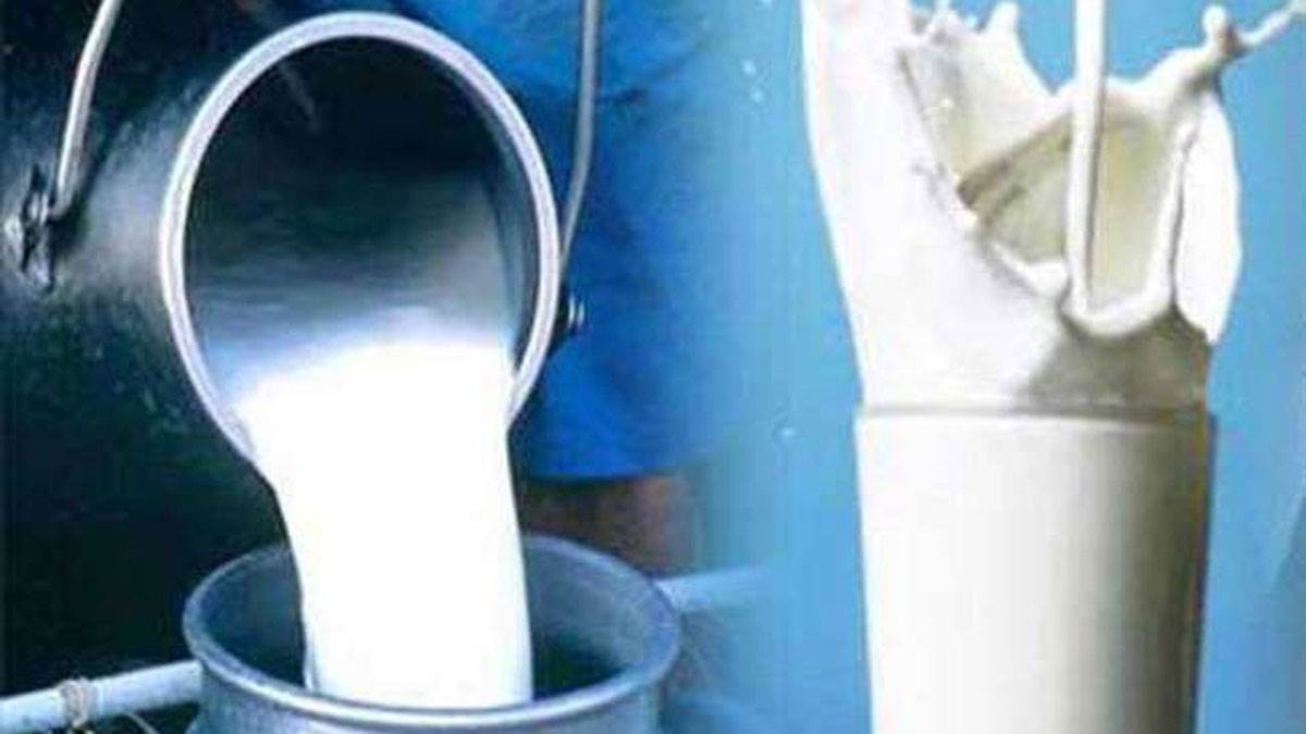 Milk Substitute दूध पीना नहीं करते हैं पसंद तो ये सात सुपर फूड करेंगे