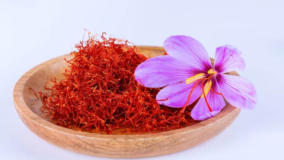 Saffron In Pregnancy प्रेग्नेंसी में बहुत फायदेमंद है केसर, जानिए इसके