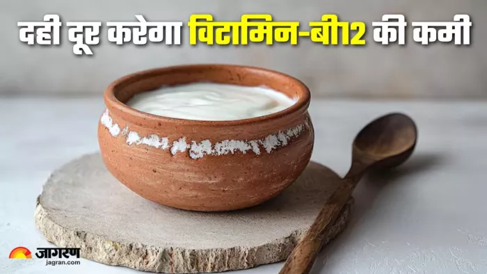 दही में मिलाएं दो चीज, दूर होगी विटामिन-बी12 की कमी (Picture Credit- Freepik)
