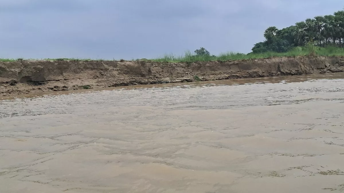 सिवान में खतरे के निशान के करीब पहुंचा सरयू का जलस्तर, ग्रामीणों कि बढ़ी चिंता