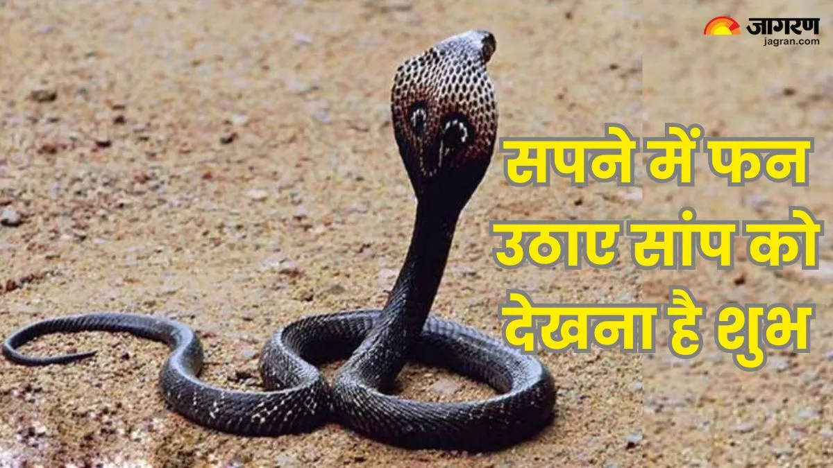 Swapna Shastra: सावन के महीने में सपने में देखा सांप, जानिए किन बातों का मिल रहा है संकेत