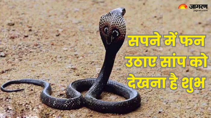 यह आपके लिए शुभ संकेत है ।