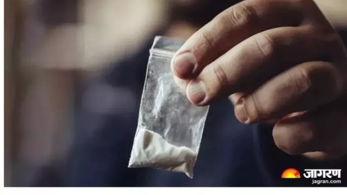 Punjab: पुलिस अधिकारियों के गवाही पर पेश न होने पर हाई कोर्ट का कड़ा रुख, वेतन रोकने का आदेश जारी