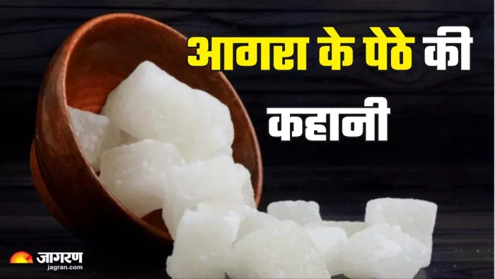 क्या आप जानते हैं आगरा के पेठे की कहानी (Picture Credit- Freepik)