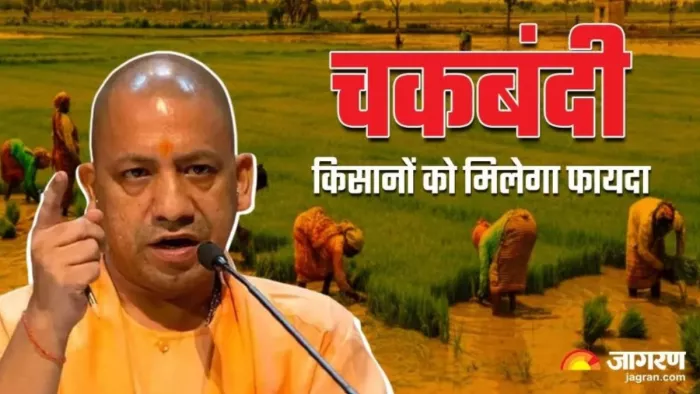 Shajahanpur News: सिकंदरपुर कलां में फिर से चकबंदी होगी।
