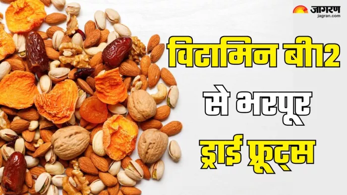इन ड्राई फ्रूट्स से करें विटामिन बी12 की कमी दूर (Picture Credit- Freepik)