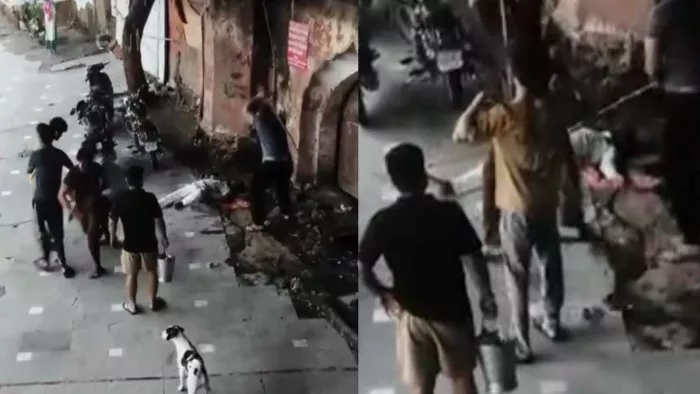 कालकाजी मंदिर में सेवादार योगेंद्र सिंह को लाठी-डंडों से पीटते आरोपित। सौ. वीडियो ग्रैब