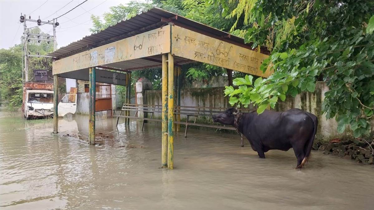 https://www.jagranimages.com/images/newimg/31082025/31_08_2025-flood-_24031235_155410995.jpg