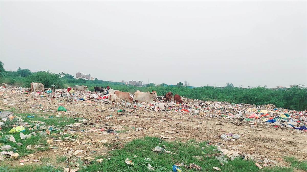 https://www.jagranimages.com/images/newimg/31082025/31_08_2025-noida_news_update_31_24030837.jpg
