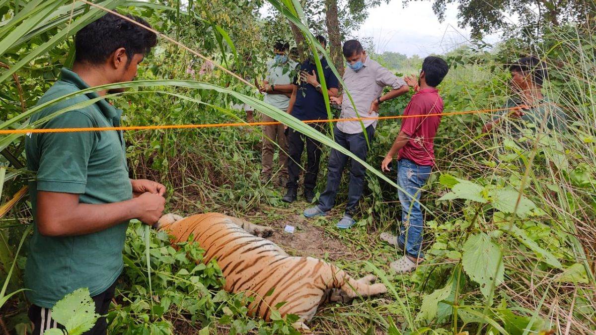 https://www.jagranimages.com/images/newimg/31082025/31_08_2025-west_champaran_news_15_24031461.jpg