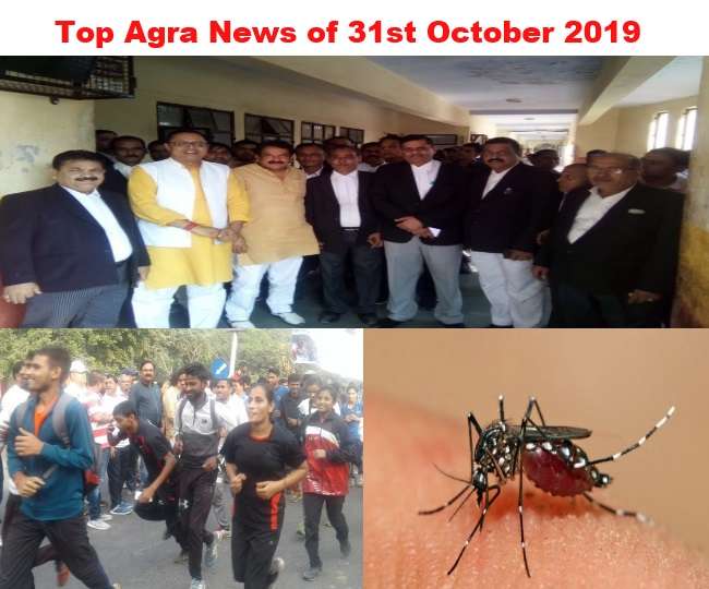 Top Agra News of the Day 31st October 2019, सांसद बघेल को मिली जमानत, रन फॉर यूनिटी, डेंगू से दो की मौत