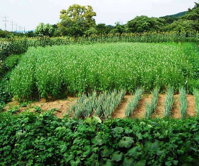 download the new version for windows Farming 2020 download the new version for windows Farming 2020