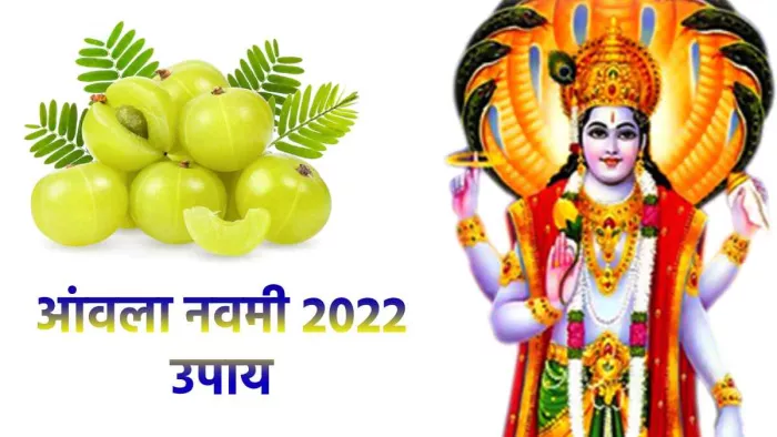 Amla Navami 2022 Upay: भगवान विष्णु की कृपा पाने के लिए आंवला नवमी पर करें ये उपाय