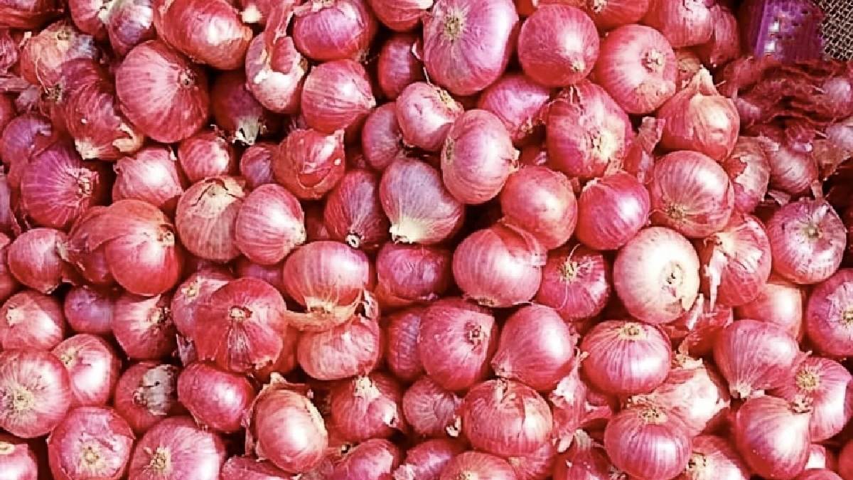 https://www.jagranimages.com/images/newimg/31102023/31_10_2023-onion_price_hike_23569727_223531506.jpg