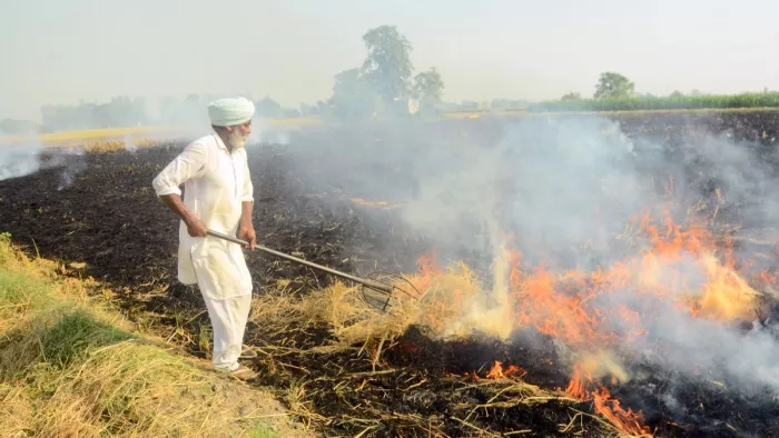 पंजाब का धुआं घोंट रहा हरियाणा की सांसें। फाइल फोटो