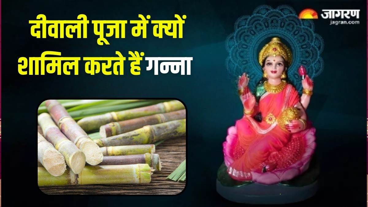 diwali 2024 why are sugarcane and water chestnut included in diwali puja what is the reason behind this