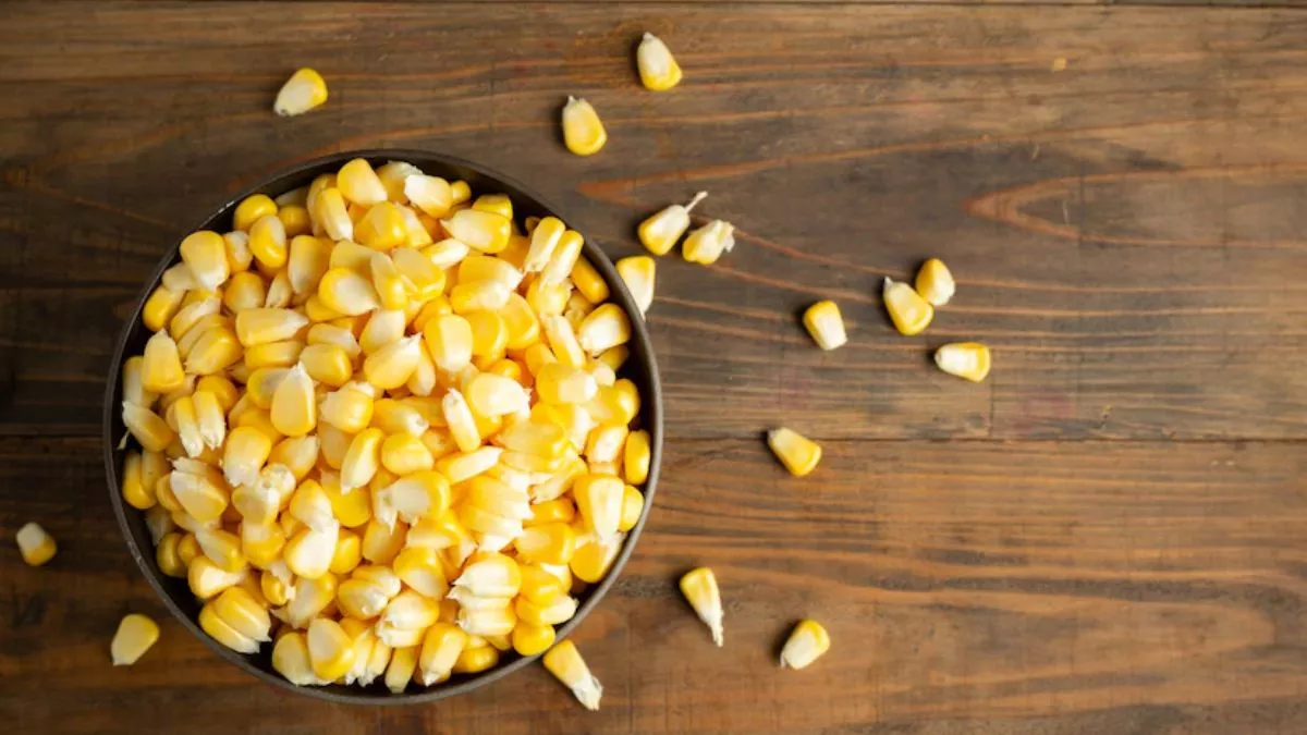 Corn Benefits: डायबिटीज से लेकर कोलेस्ट्रॉल कम करने में सहायक है कॉर्न, जानिए इसके 6 फायदे