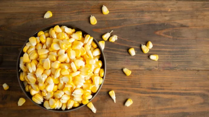 Corn Benefits: कॉर्न खाने के हैं ये खास फायदे