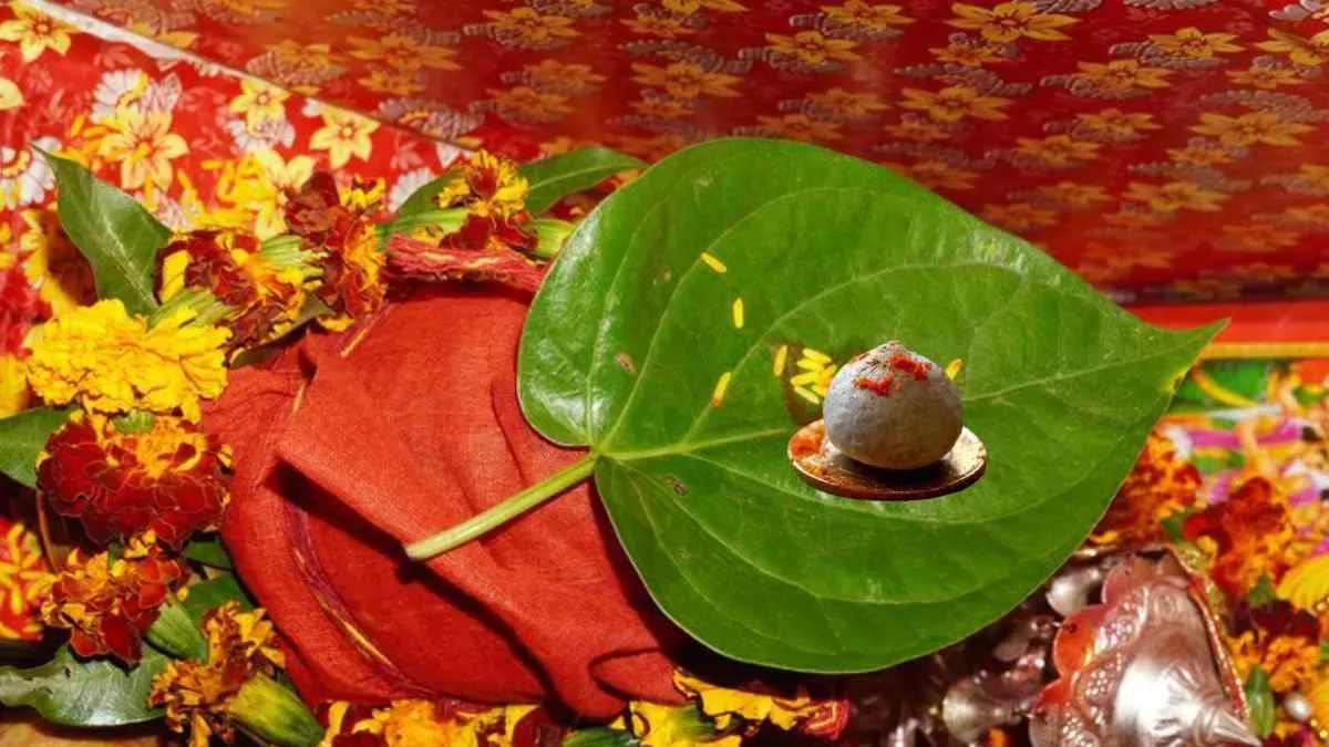 दिवाली की तरह होली पर भी होती है मां लक्ष्मी की पूजा, होलिका दहन पर ऐसे करें मां लक्ष्मी को खुश-Like Diwali, Maa Lakshmi is worshiped on Holi too, this is how to please Maa Lakshmi on Holika Dahan