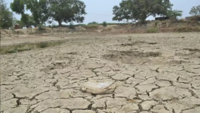 बिहार के दरभंगा में सरकारी तालाब चोरी, भू-माफिया ने भरकर बना दिया समतल; घेरकर झोपड़ी भी बनाई। (प्रतीकात्मक तस्वीर)