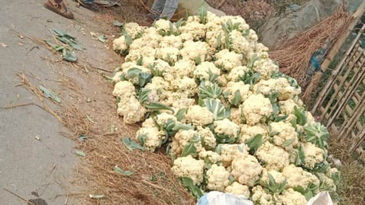 fresh vegetables will reach your kitchen in just one click farmers will also get benefits