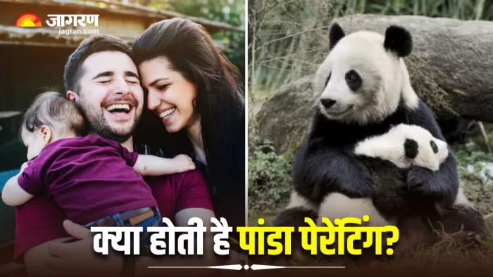 क्या आप चाहते हैं कि आपके बच्चे हमेशा खुश रहें? अगर हां, तो अपनाइए Panda Parenting (Image Source: Freepik)