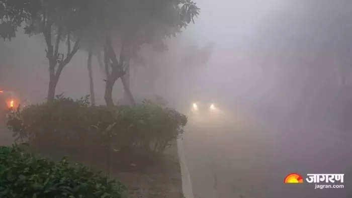 कड़ाके की ठंड और कोहरे के बीच होगी नए साल की शुरुआत।