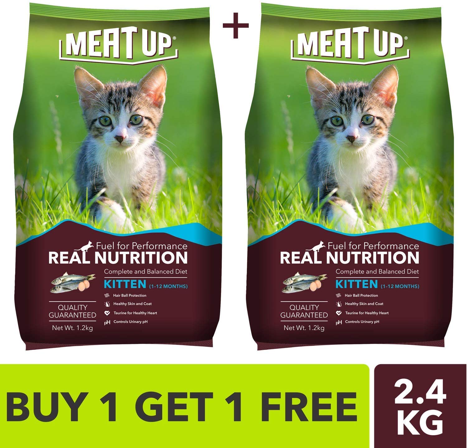 फूड जो आपके प्यारे डॉग का पेट भरने के साथ ही उसे रखेगा तंदरुस्त