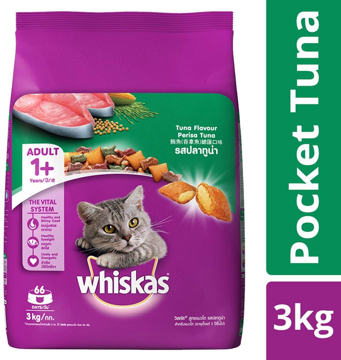 Buy fish and chicken food for your pet cat on amazon at discount prize