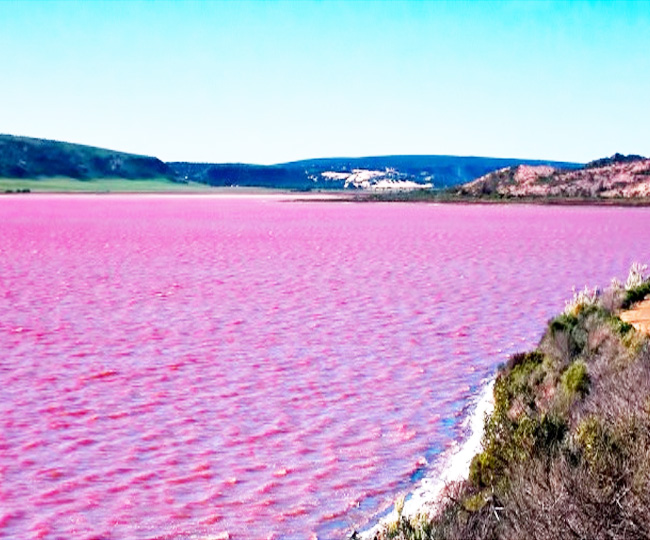 यहां हैं विश्व की सबसे आकर्षक Pink Lakes दुनिया भर से हजारों लोग
