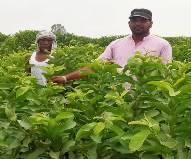 Haryana farmer wrote new text from passion and now made beautiful ...