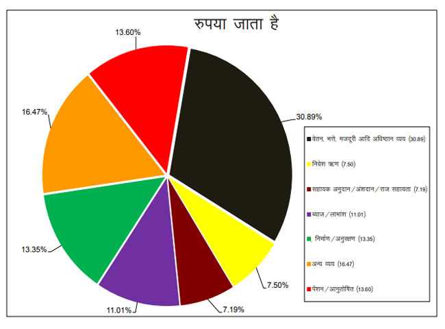 Rupees goes to...uttarakhand 2020-21 budget
